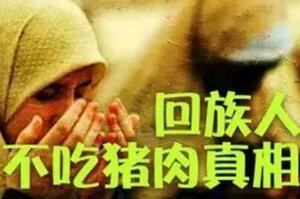 回族为什么不吃猪肉，回族人信仰伊斯兰教(禁止吃猪肉/太脏)