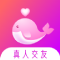 聊会交友app
