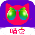 喵它app