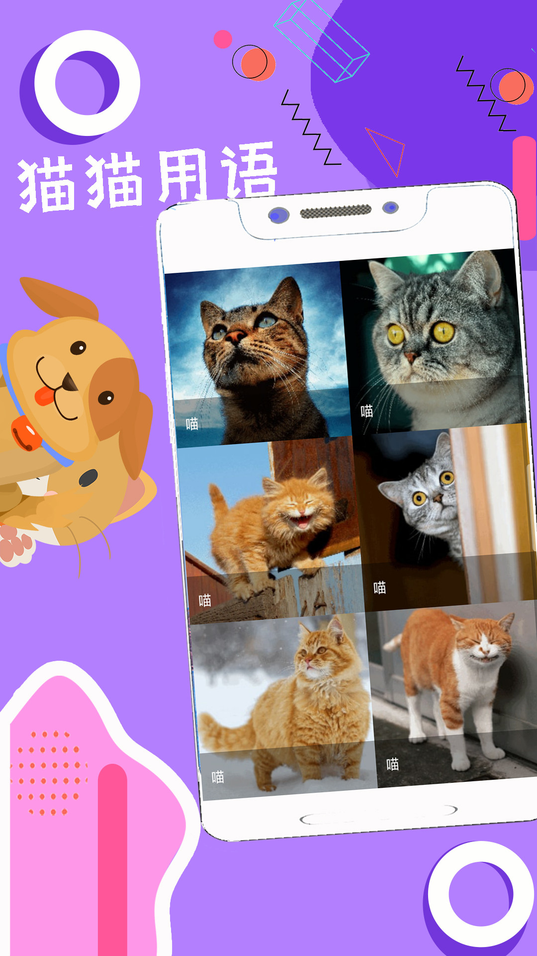 人狗猫猪翻译器截图1
