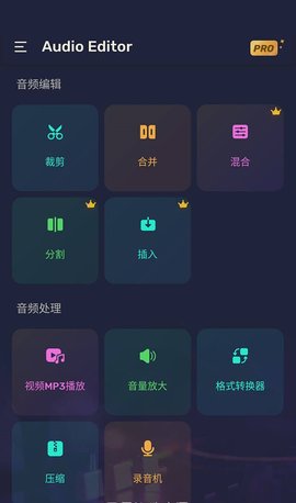 Audio Editor中文版截图2