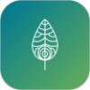 顷松app