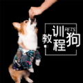 训狗教程大全app