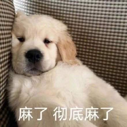 麻了彻底麻了狗表情包截图1