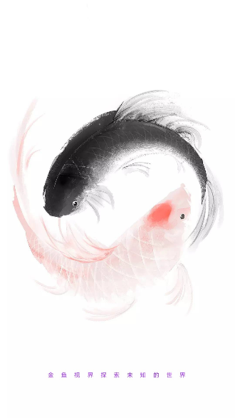 金鱼视界截图1