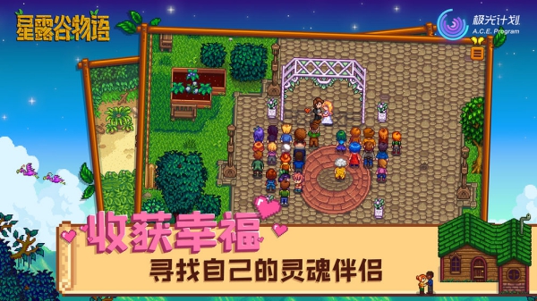 星露谷物语手机版截图2